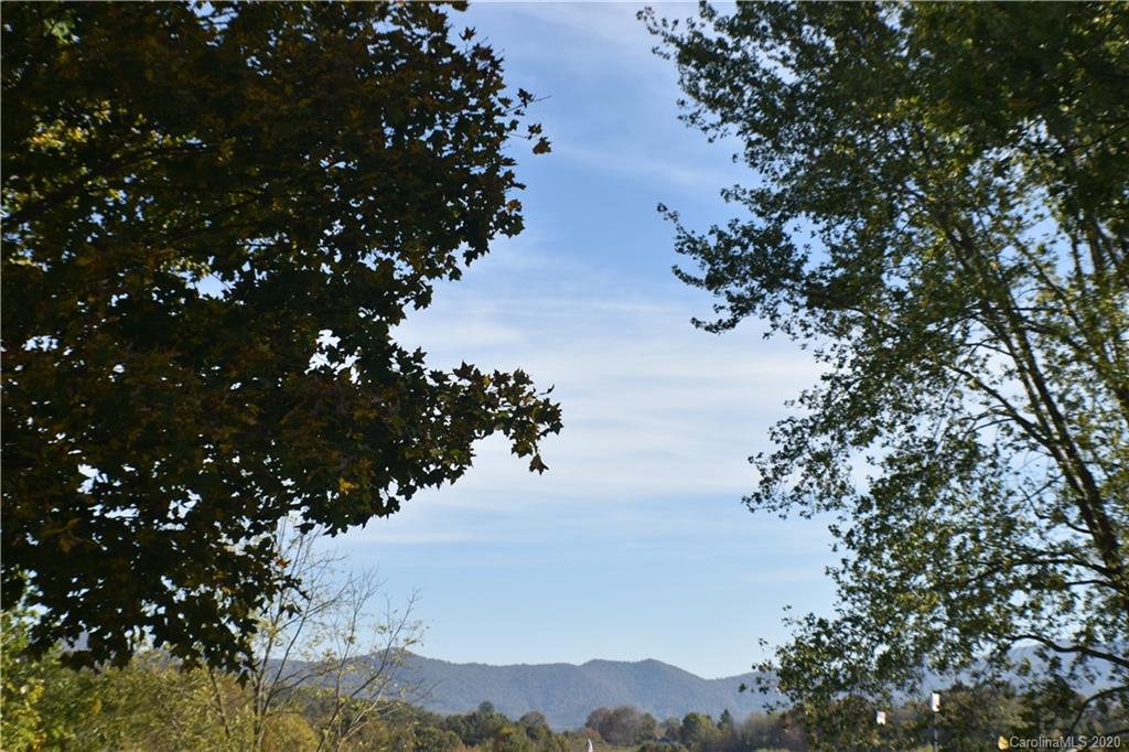 49 Trantham Road Canton, NC 28716 - Photo 9 of 10 a view of a tree