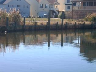 1337 Blackbeard Road, Unit 1337 Greenbackville, VA 23356 - Photo 1 of 1