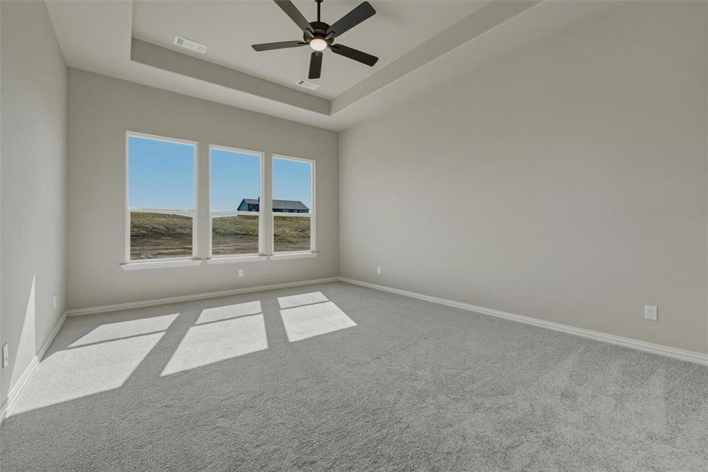 153 Big Sky Road Decatur, TX 76234 - Photo 19 of 38 Tray ceiling with a ceiling fan, three pane windows, and gray carpeting