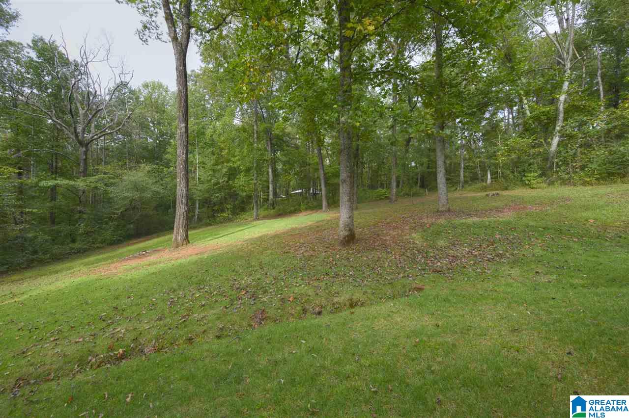 6125 Mountain Ridge Road Trussville, AL 35173 - Photo 3 of 28