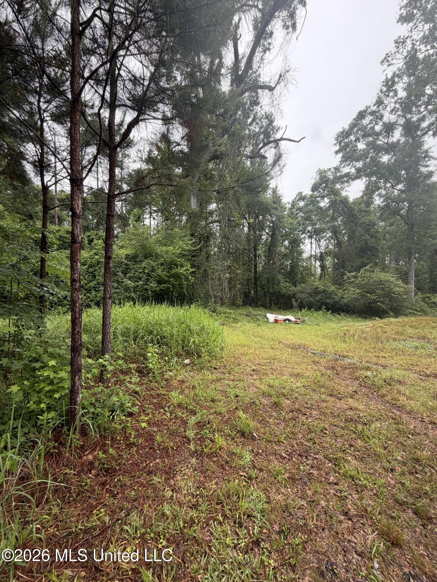 68 Robert Miller Road Leakesville, MS 39451 - Photo 3 of 44 IMG_1309