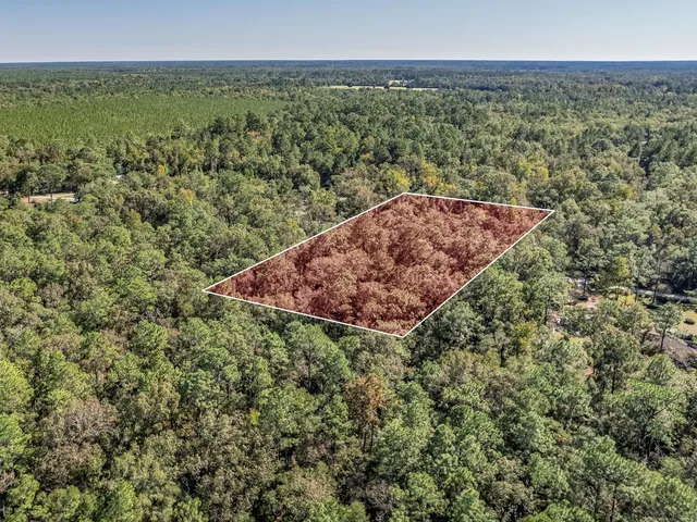 $53,000 | Xxx Luke Smith Road, Crawfordville, FL 32327