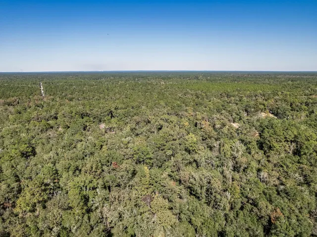 $53,000 | Xxx Luke Smith Road, Crawfordville, FL 32327