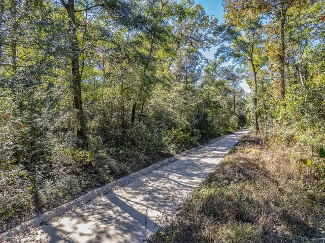 $53,000 | Xxx Luke Smith Road, Crawfordville, FL 32327