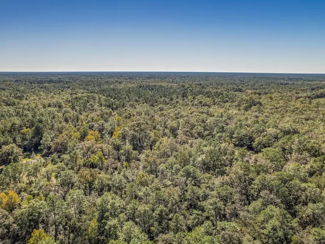 $53,000 | Xxx Luke Smith Road, Crawfordville, FL 32327