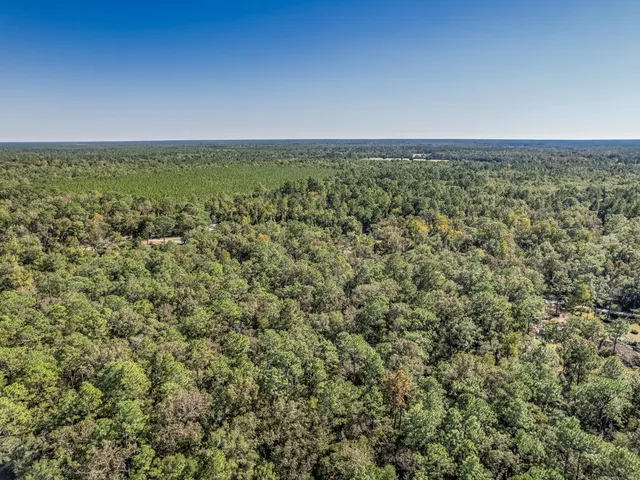 $53,000 | Xxx Luke Smith Road, Crawfordville, FL 32327
