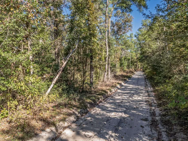 $53,000 | Xxx Luke Smith Road, Crawfordville, FL 32327