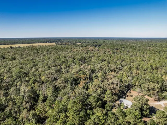 $53,000 | Xxx Luke Smith Road, Crawfordville, FL 32327