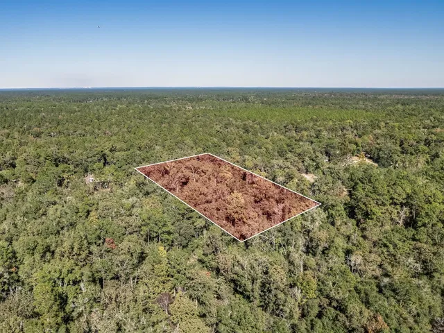 $53,000 | Xxx Luke Smith Road, Crawfordville, FL 32327