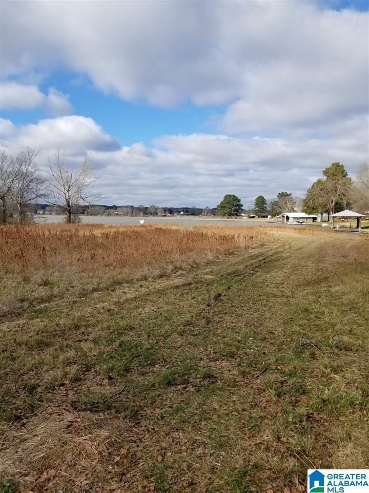 796 Heasletts Road Childersburg, AL 35044 - Photo 10 of 19