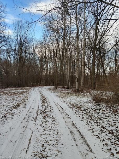 2122 Atwell Road Attica, MI 48412 - Photo 2 of 43 Winding Driveway.jpg