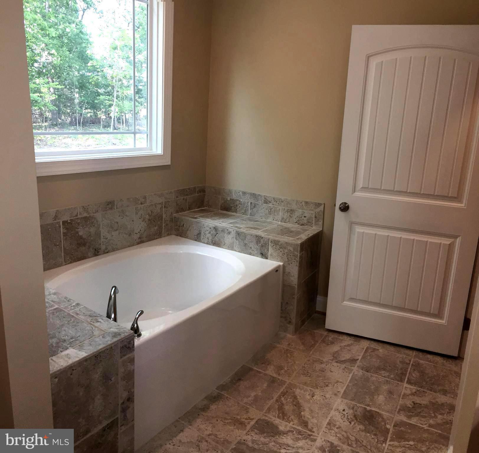 3285 Back Mountain Road Winchester, VA 22602 - Photo 17 of 30 Bath (Master)