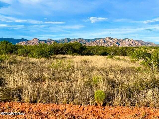 36.10 Acres Street St. David, AZ 85630 - Photo 11 of 21