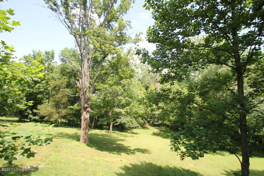 8517 Wolf Pen Branch Road Prospect, KY 40059 - Photo 5 of 5 hill