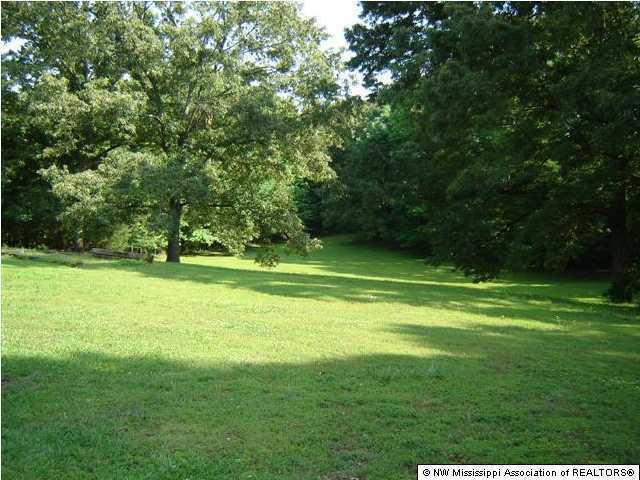 2071 Bluegoose Road Sarah, MS 38665 - Photo 6 of 6 Additional Photo
