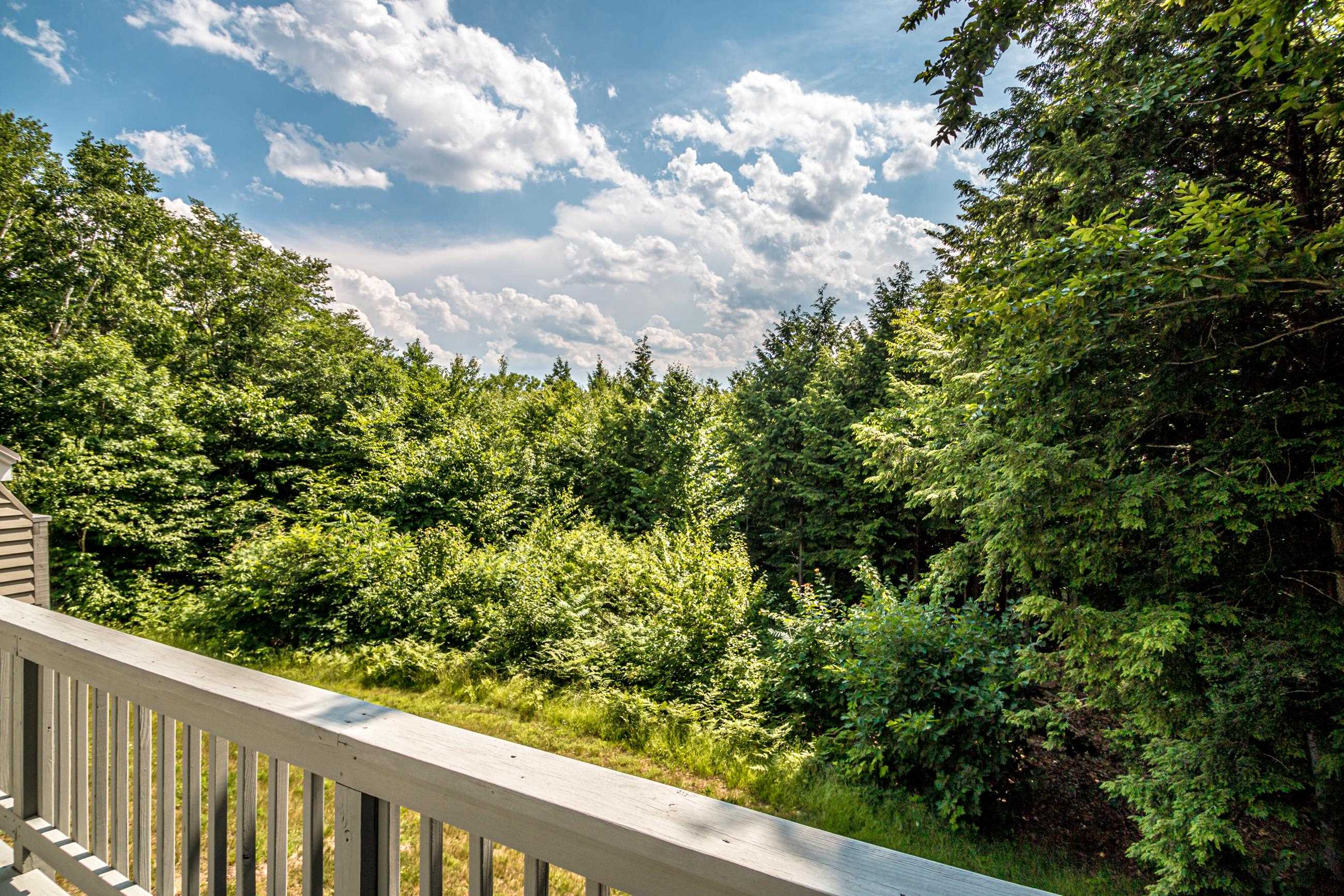 1 Eagle Ridge Road, Unit A Intervale, NH 03845 - Photo 30 of 40 Gallery Image 30