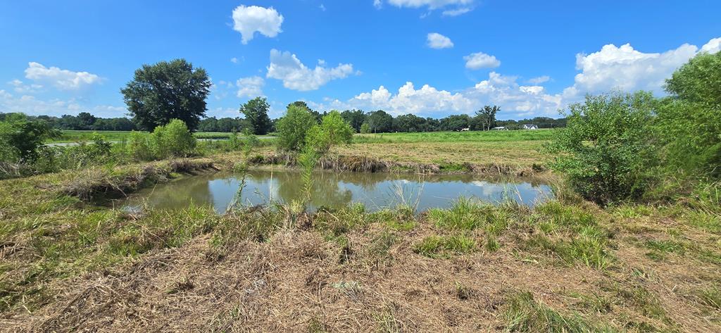 91 County Road 91 Slocomb, AL 36375 - Photo 9 of 18