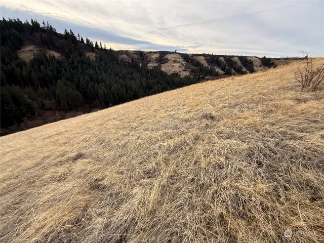 a view of ocean and an ocean