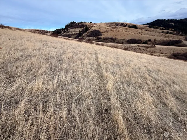 $150,000 | 0 South S Fork, Waitsburg, WA 99361