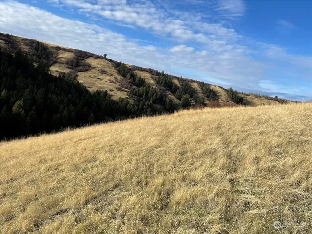 a view of ocean and a beach