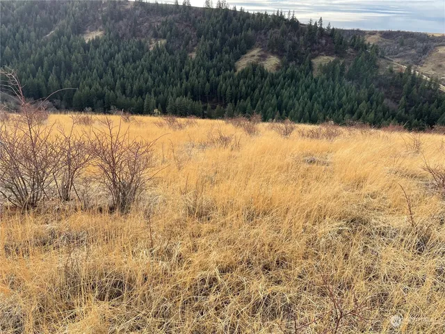 a view of ocean and mountain