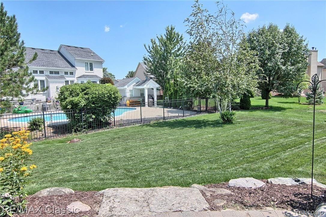 Backyard.jpg