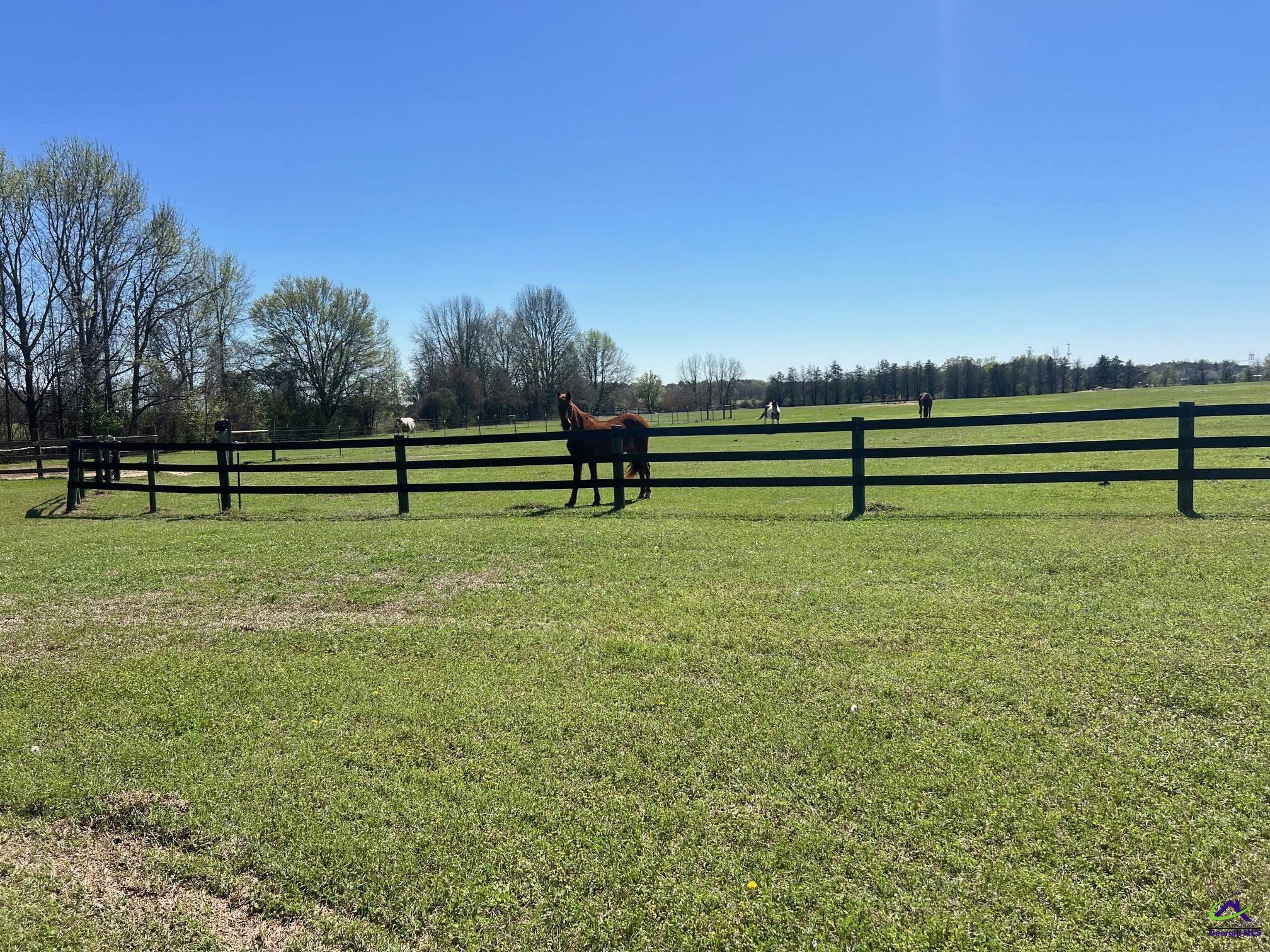 1670 West White Road Byron, GA 31008 - Photo 2 of 23