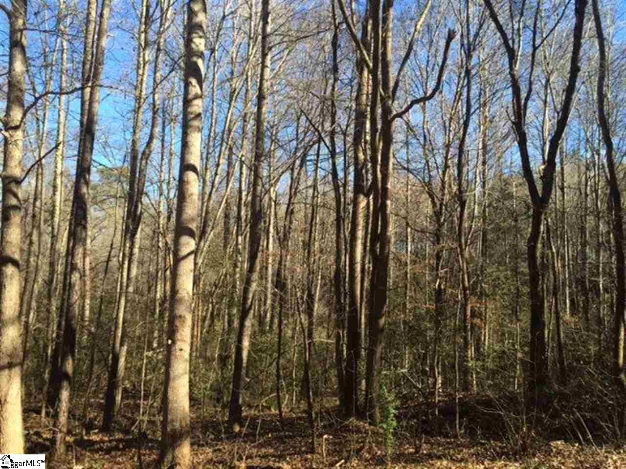 Tract 7 Sam Turner Road Iva, SC 29655 - Photo 1 of 3