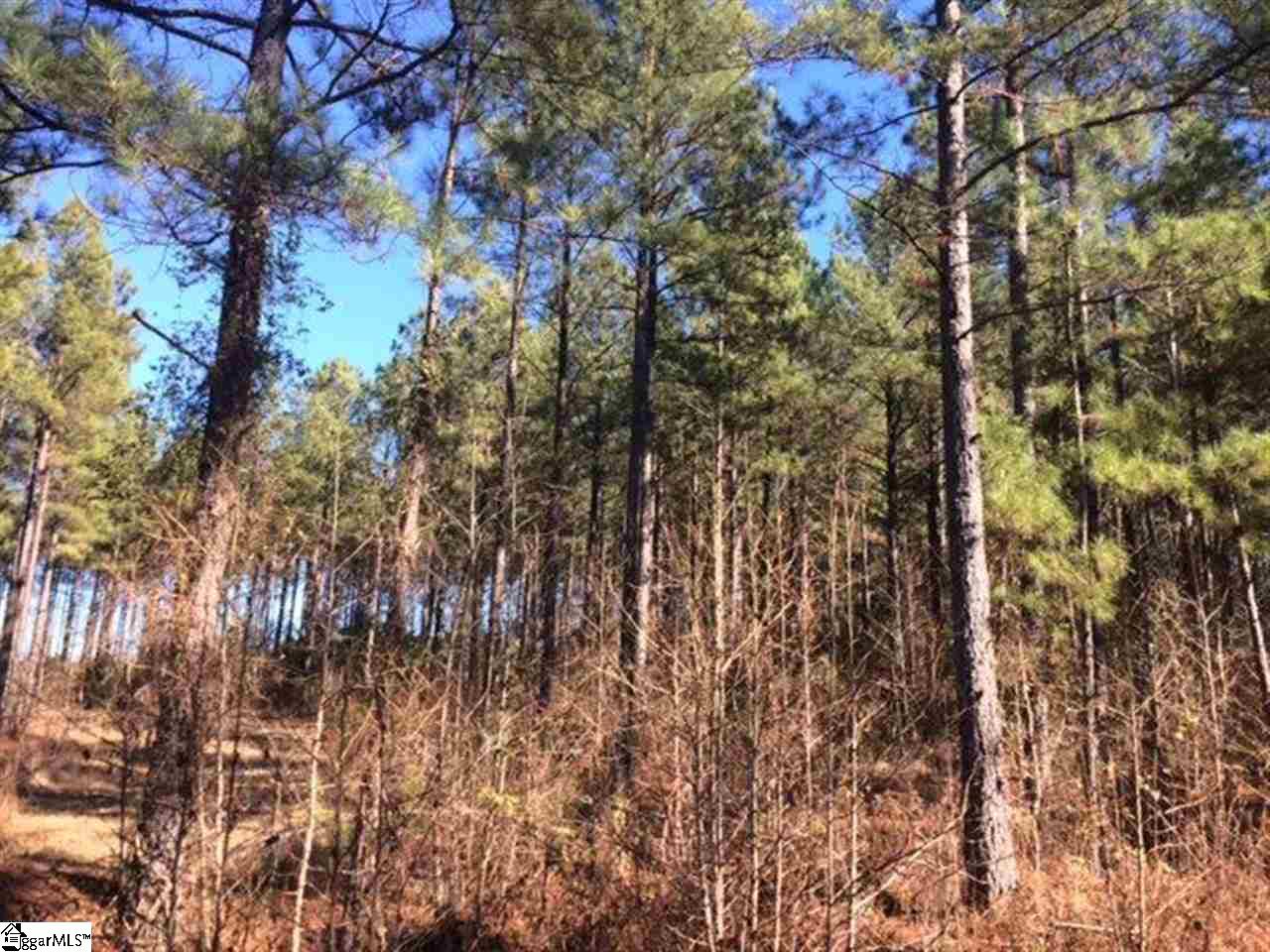 Tract 7 Sam Turner Road Iva, SC 29655 - Photo 2 of 3