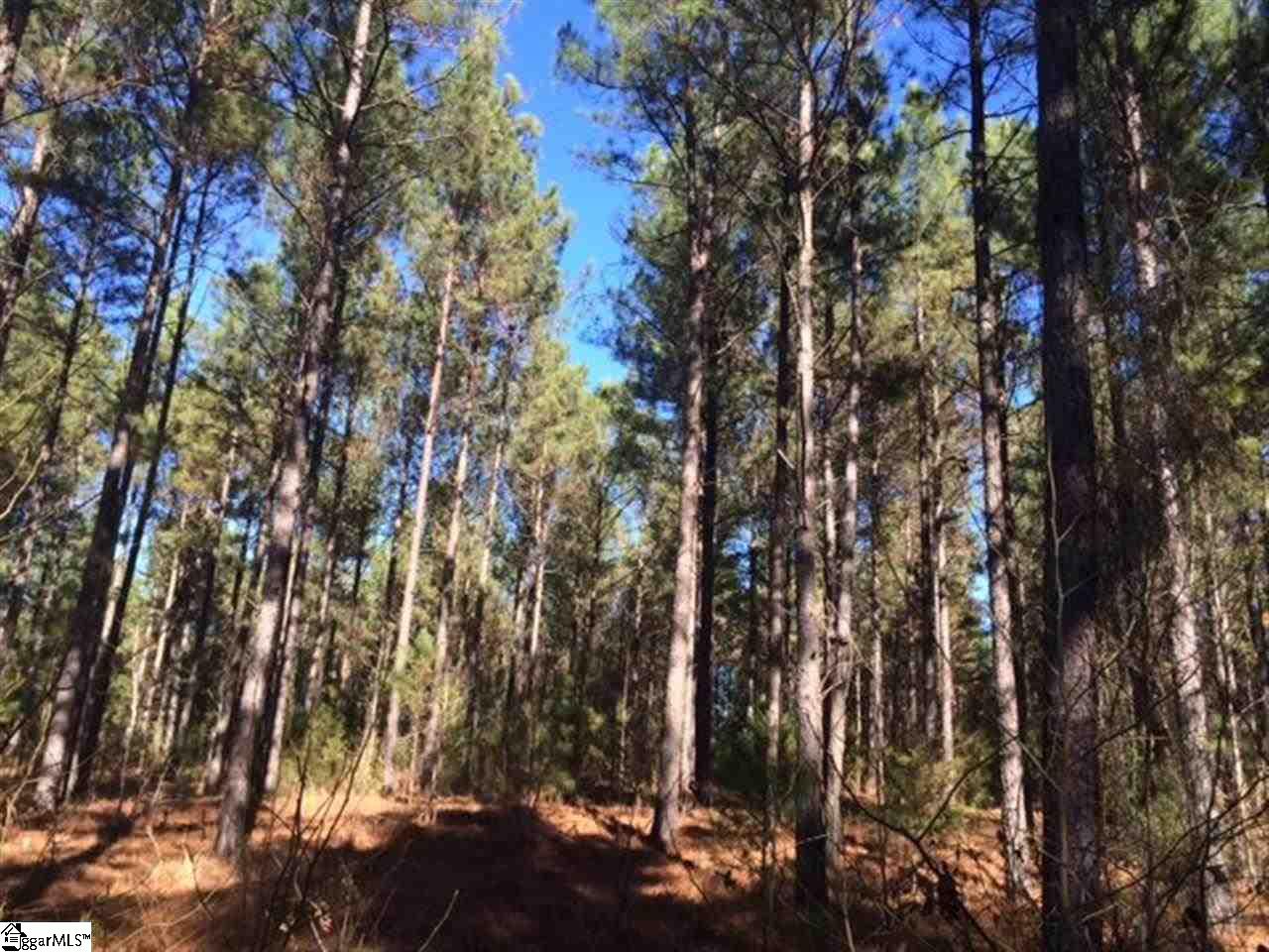 Tract 7 Sam Turner Road Iva, SC 29655 - Photo 3 of 3