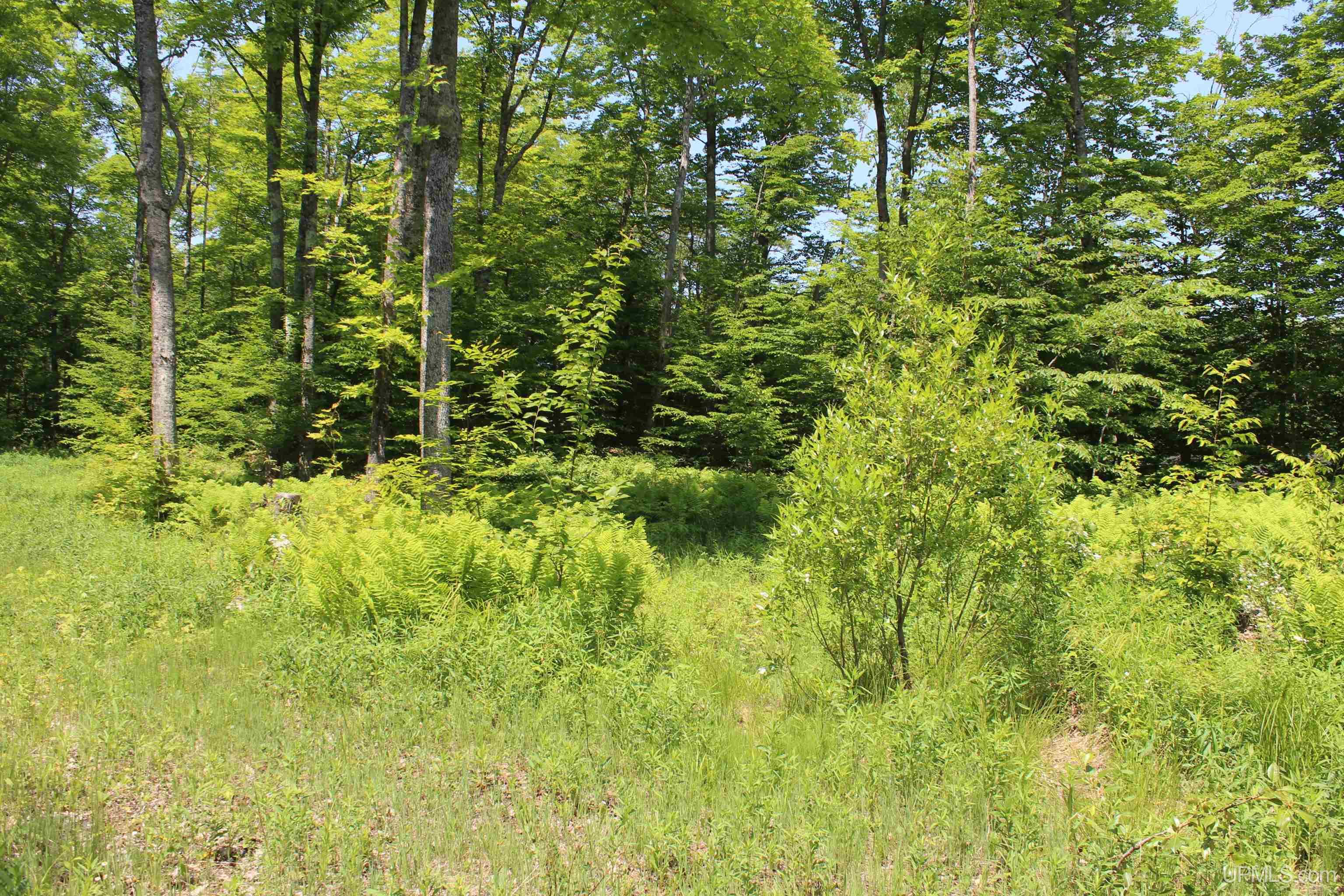 On East Shingleton Road Shingleton, MI 49884 - Photo 15 of 32