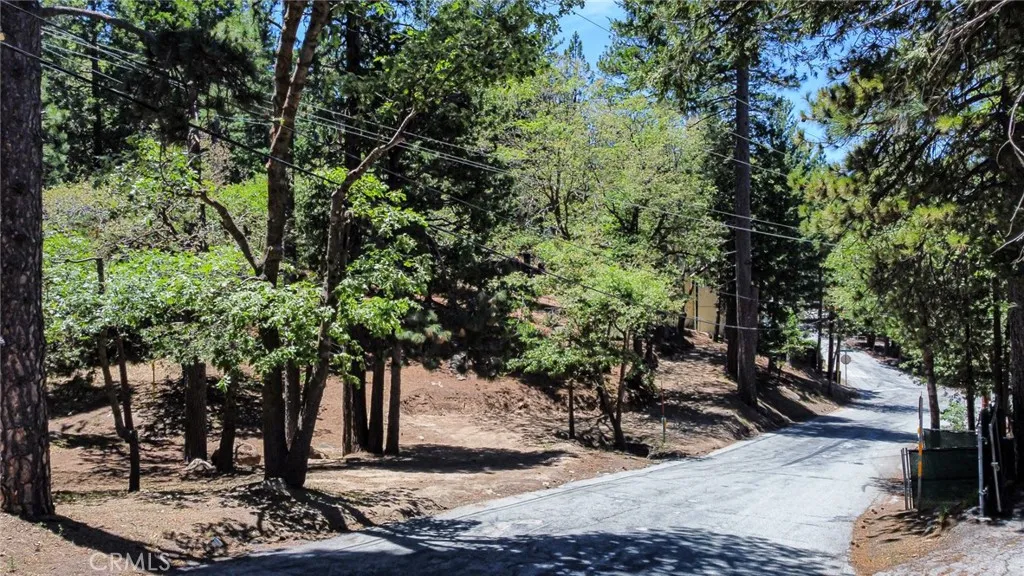 0 Meadow Brook Road Skyforest, CA 92385 - Photo 5 of 8 a tree in front of a forest