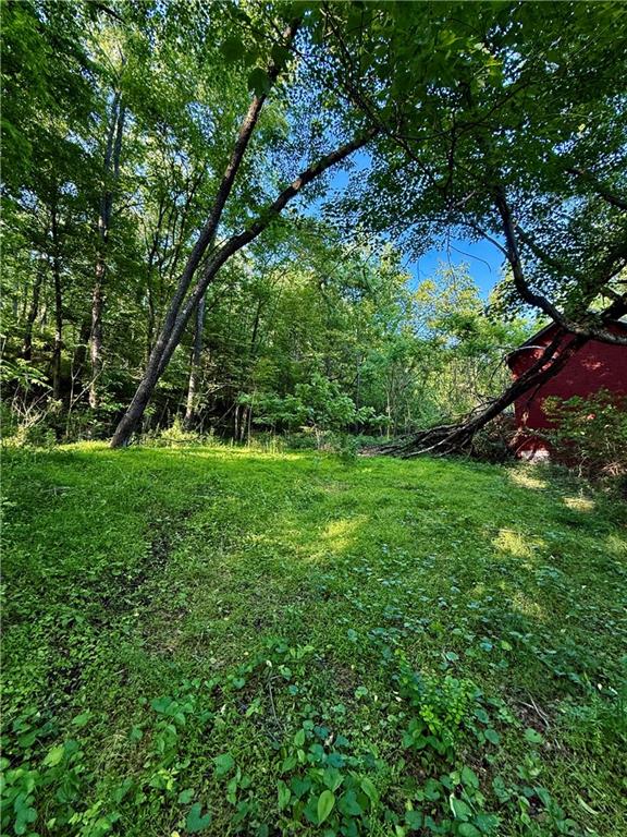 a view of green field with plants and trees