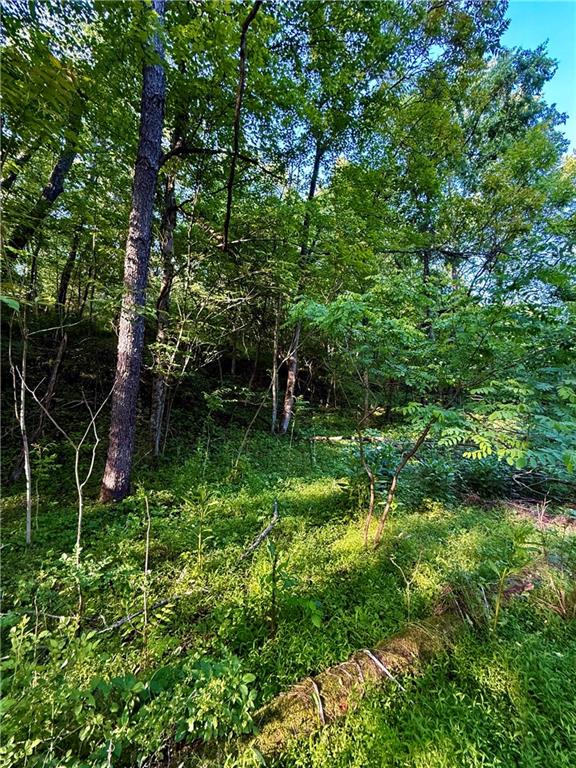 0 Nellie School Road Vanderbilt, PA 15486 - Photo 4 of 6 a backyard of a house with lots of green space