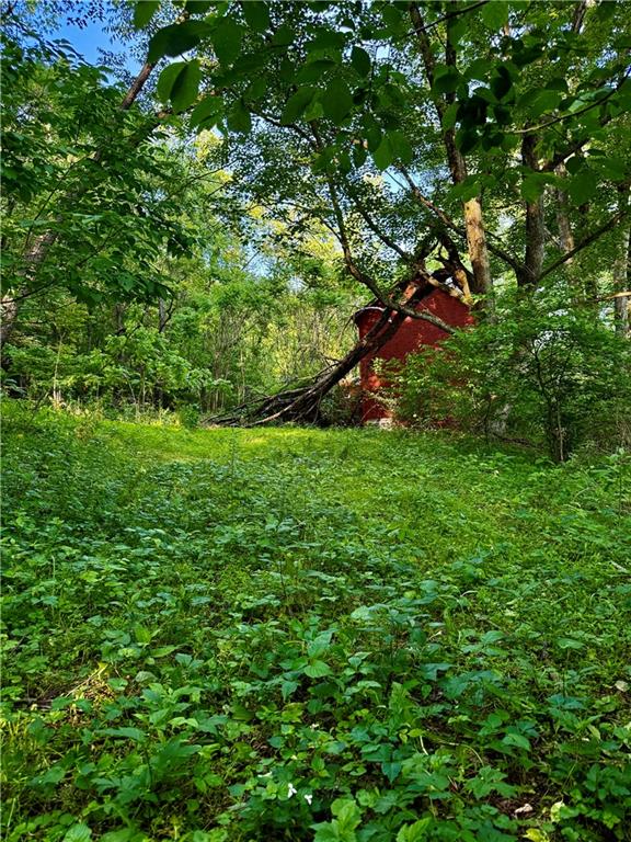 0 Nellie School Road Vanderbilt, PA 15486 - Photo 6 of 6 a view of yard with green space