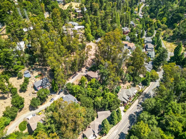 a view of a tree with a tree