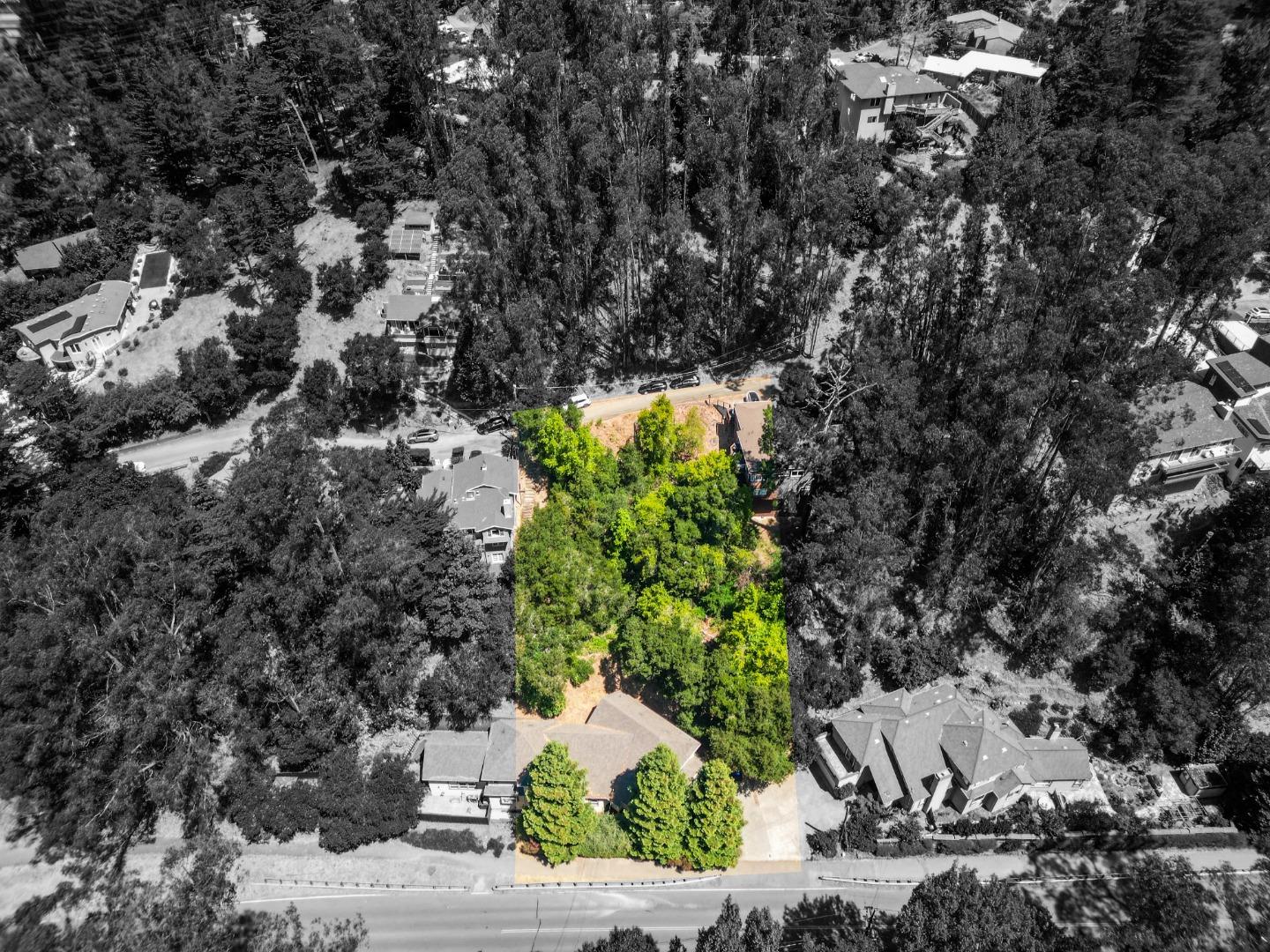 7220 Woodrow Drive Oakland, CA 94611 - Photo 5 of 10 a plant that is in a garden