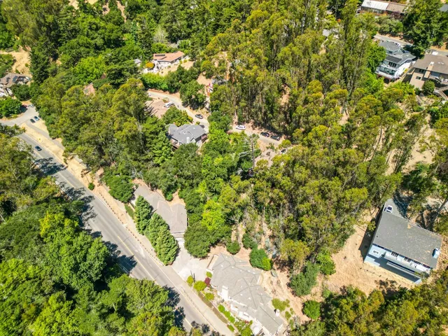 a view of a tree with a yard