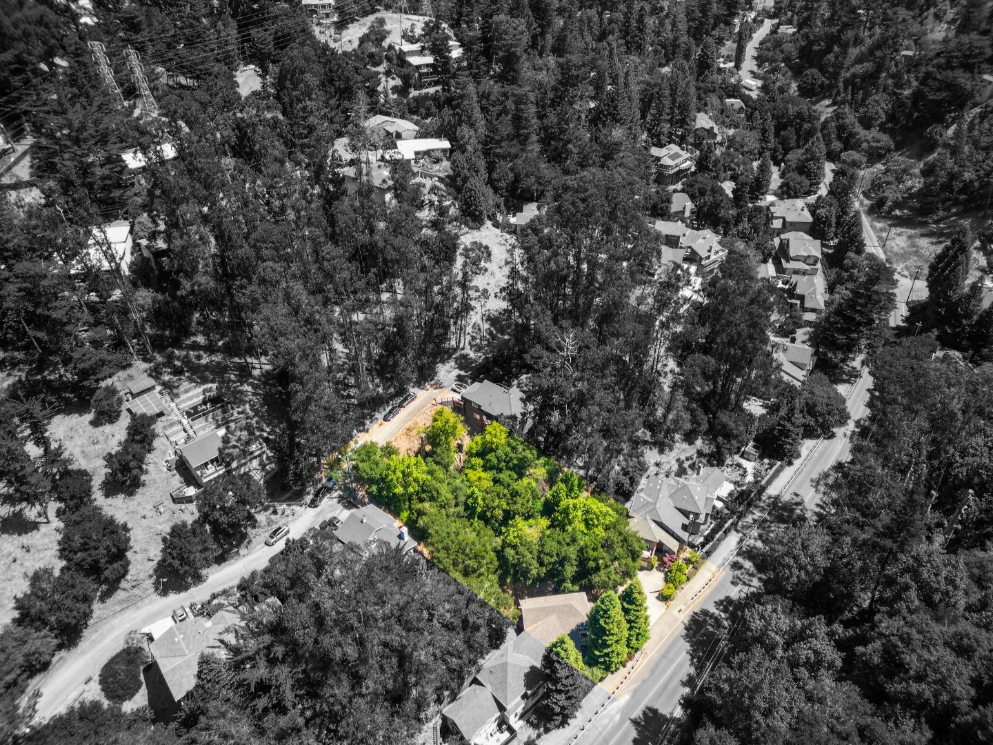 7220 Woodrow Drive Oakland, CA 94611 - Photo 7 of 10 a picture of tree