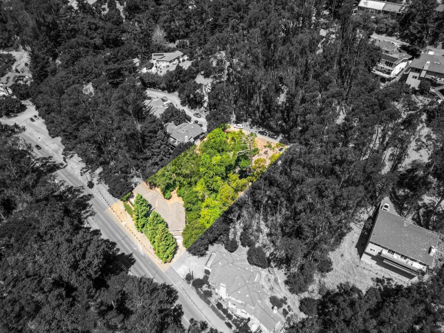 7220 Woodrow Drive Oakland, CA 94611 - Photo 8 of 10 a plant that is in a garden