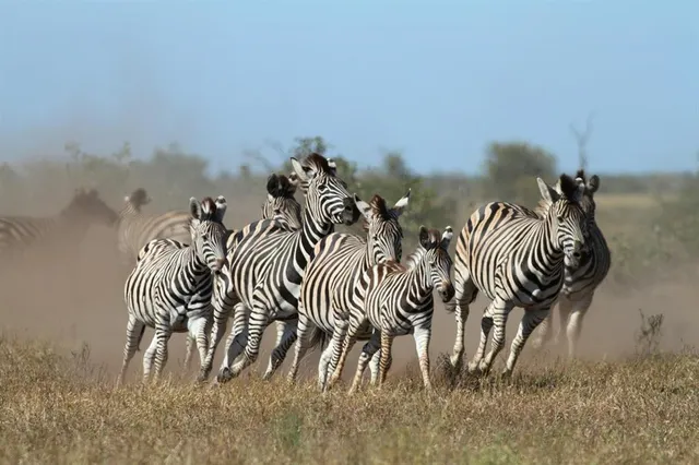 $299,000 | Lot 30 Tbd Bigfoot Road, Strawn, TX 76475