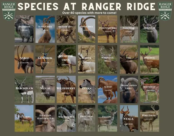 $299,000 | Lot 30 Tbd Bigfoot Road, Strawn, TX 76475