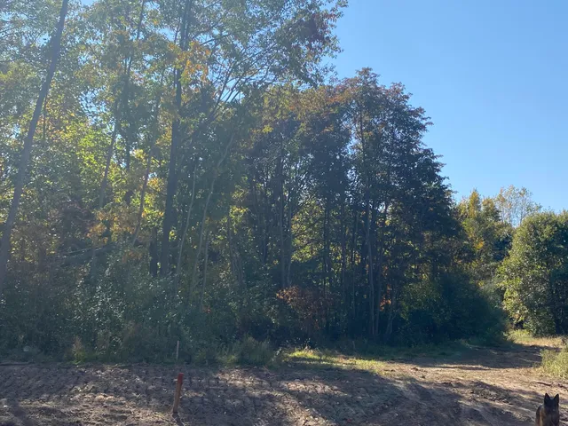 $75,000 | 3127 Elk Antler Avenue, Unit 2, Plainwell, MI 49080