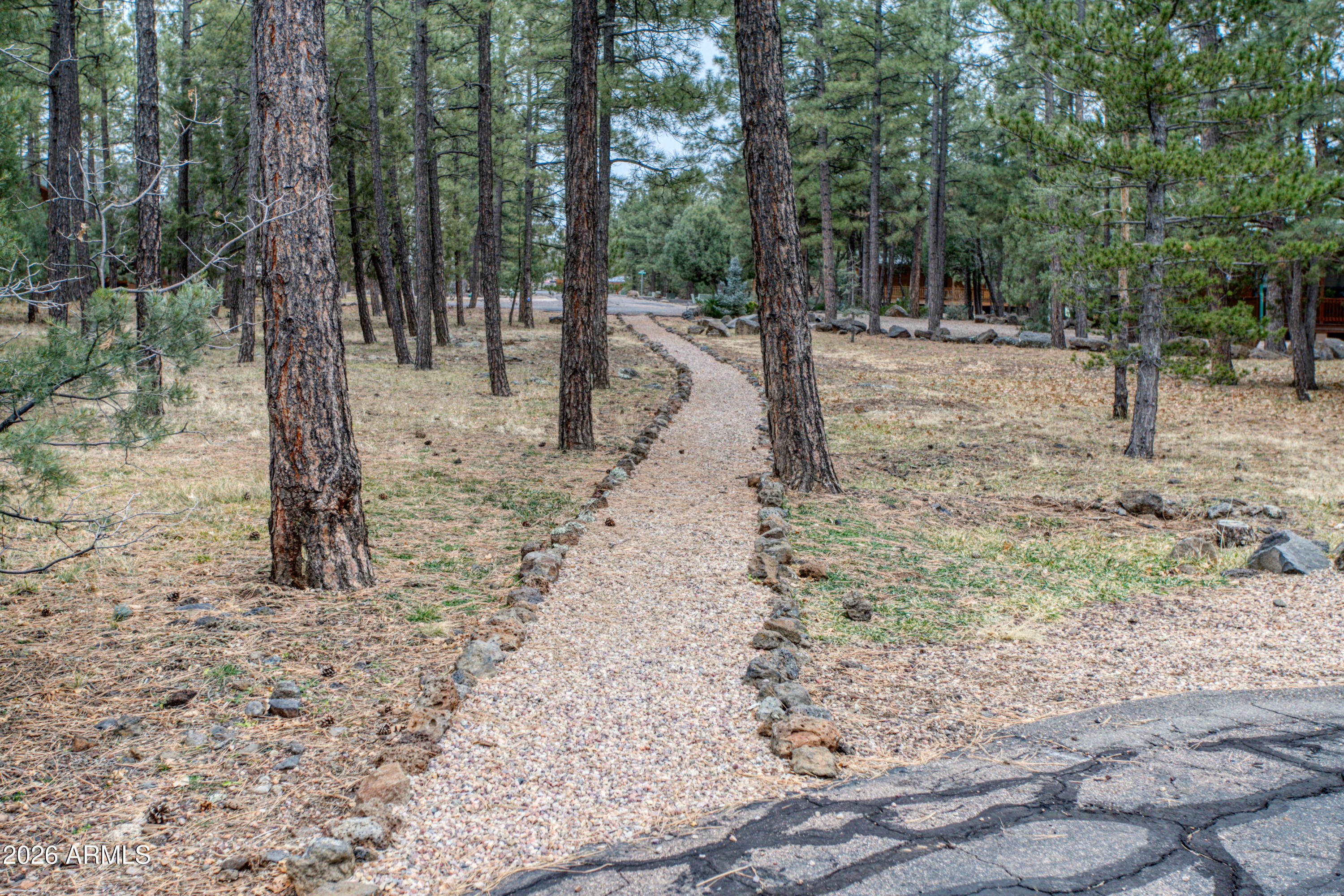 826 Pine Creek Circle Lakeside, AZ 85929 - Photo 42 of 68 a view of a forest filled with trees