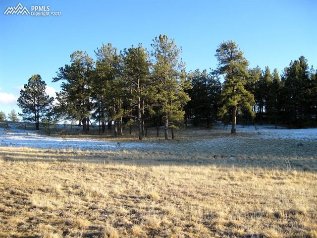 723 High Pasture Road Florissant, CO 80816 - Photo 2 of 2 Gallery Image 2