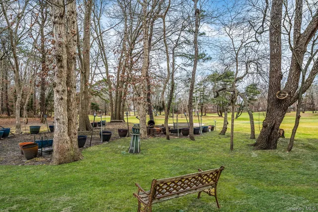 a view of a park with bench and trees