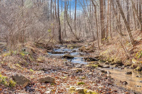 a view of covered with trees