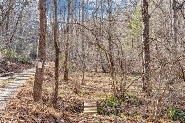 a view of a backyard of the house