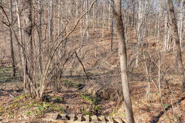 a view of a pathway of a yard