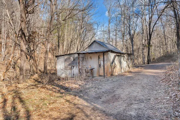 a view of a yard with trees and bushes